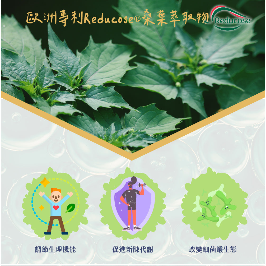 (預購)穩穩棒棒堂-山苦瓜桑葉複方膠囊-愛營養 iNutrition