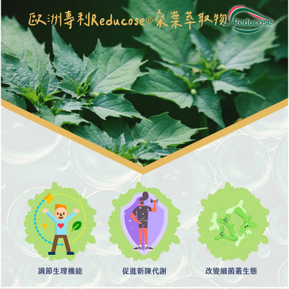 (預購)穩穩棒棒堂-山苦瓜桑葉複方膠囊-愛營養 iNutrition