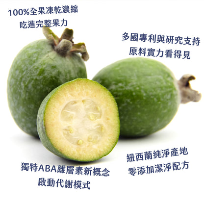 (預購)穩穩棒棒堂-山苦瓜桑葉複方膠囊-愛營養 iNutrition