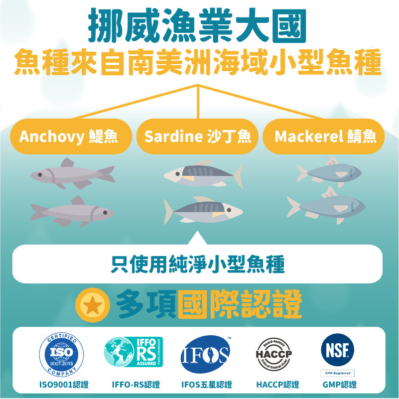 『升級版』魚兒水中油 - 85%純淨魚油 - 愛營養iNutrition