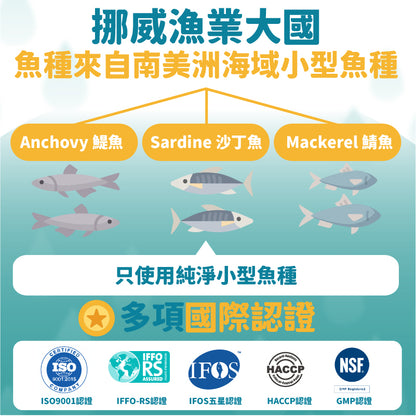『升級版』魚兒水中油 - 85%純淨魚油 - 愛營養iNutrition