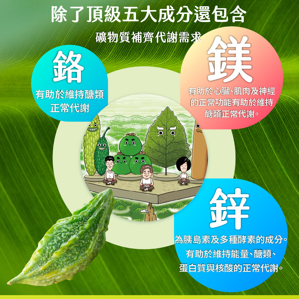 (預購)穩穩棒棒堂-山苦瓜桑葉複方膠囊-愛營養 iNutrition