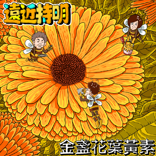 遠近持明 - 金盞花葉黃素膠囊 - 愛營養 iNutrition